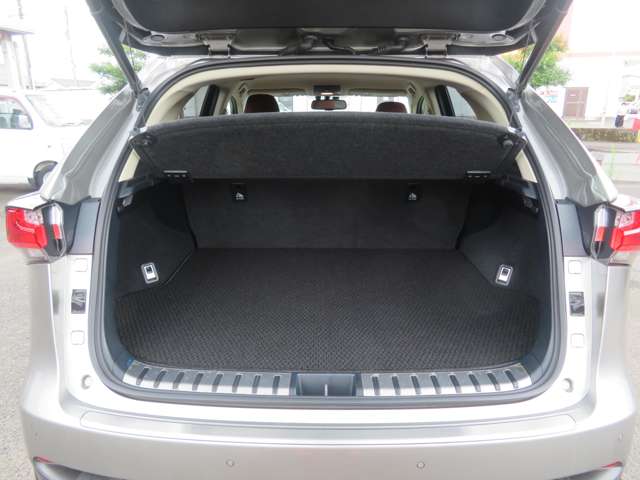 レクサス ＮＸ３００ｈ バージョンＬ H27年 (九州・沖縄) 99