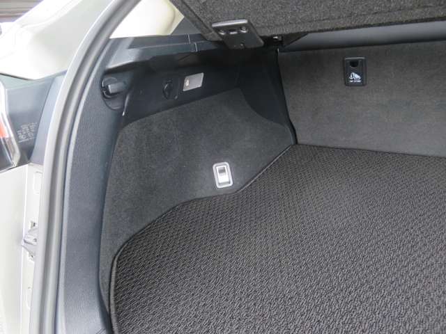 レクサス ＮＸ３００ｈ バージョンＬ H27年 (九州・沖縄) 99