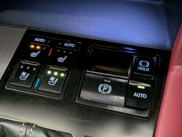 レクサス ＲＸ２００ｔ ２００Ｔ Ｆスポーツ ４ＷＤ H28年 (関東) 99