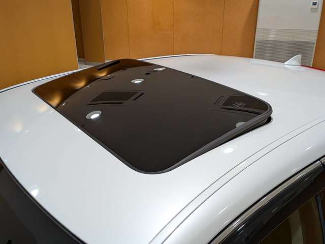 レクサス ＬＳ４６０ バージョンＣ　Ｉパッケージ H26年 (関東) 99