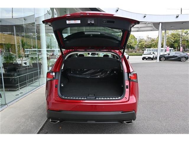 レクサス ＮＸ２００ｔ バージョンＬ H28年 (九州・沖縄) 99