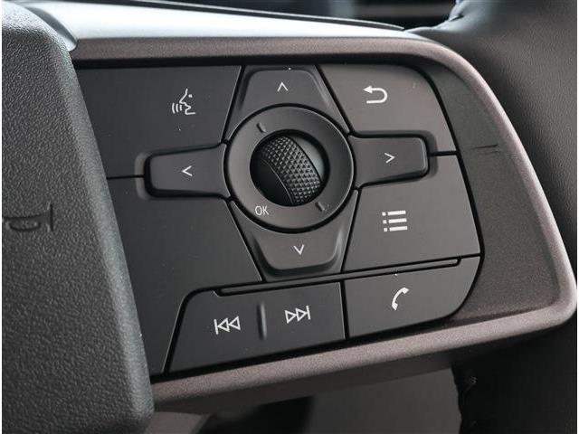三菱 デリカ　ミニ ６６０ Ｔ プレミアム R8年 (東海) 99