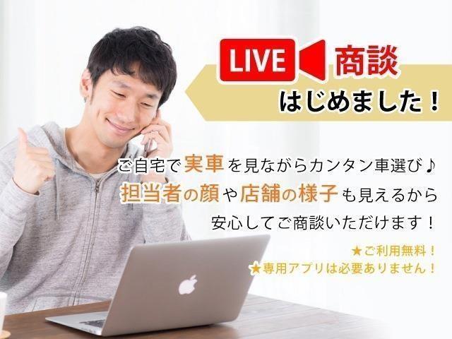 スズキ ハスラー ６６０ タフワイルド R7年 (東海) 99