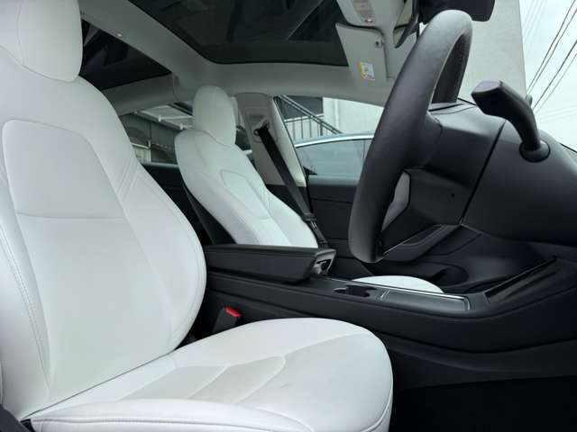 テスラ モデル３ ロングレンジ ＡＷＤ 白内装 R4年 (東海) 99