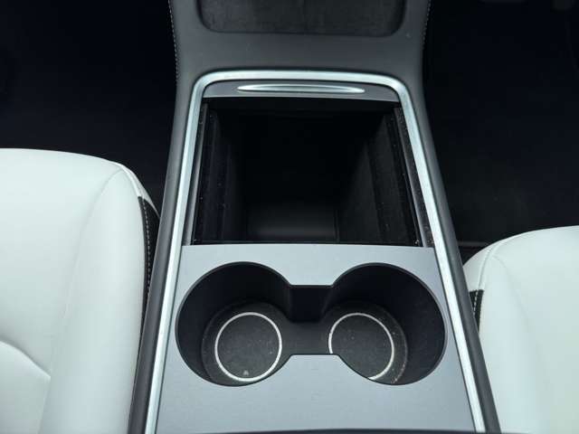 テスラ モデル３ ロングレンジ ＡＷＤ 白内装 R4年 (東海) 99