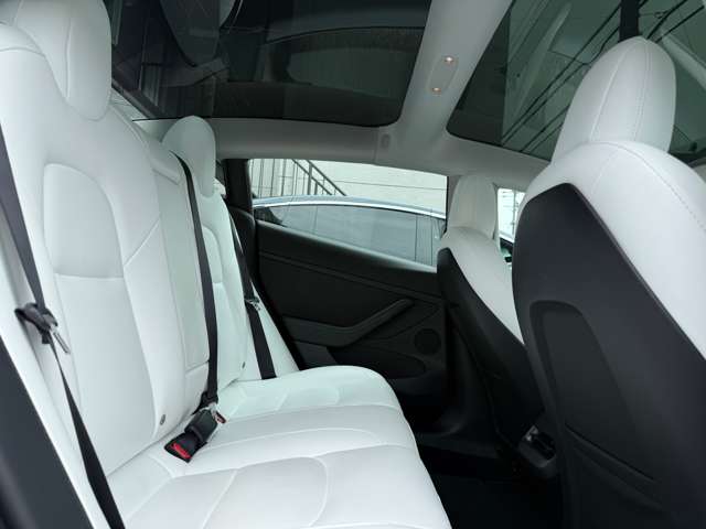 テスラ モデル３ ロングレンジ ＡＷＤ 白内装 R4年 (東海) 99