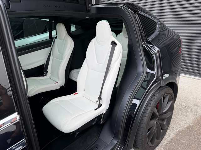 テスラ モデルＸ Ｐ１００Ｄ パフォーマンス ＡＷＤ H30年 (東海) 99