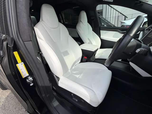 テスラ モデルＸ Ｐ１００Ｄ パフォーマンス ＡＷＤ H30年 (東海) 99