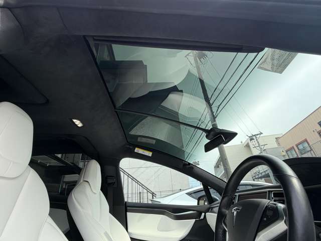テスラ モデルＸ Ｐ１００Ｄ パフォーマンス ＡＷＤ H30年 (東海) 99