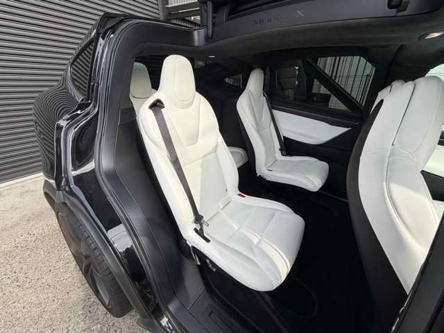 テスラ モデルＸ Ｐ１００Ｄ パフォーマンス ＡＷＤ H30年 (東海) 99