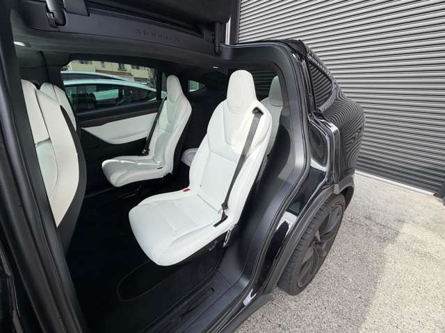 テスラ モデルＸ Ｐ１００Ｄ パフォーマンス ＡＷＤ H30年 (東海) 99