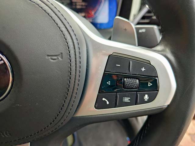 ＢＭＷ ３シリーズ ３３０ｉ　Ｍスポーツ R1年 (関東) 99