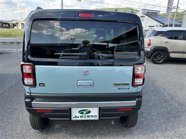 スズキ ハスラー ６６０ タフワイルド ４ＷＤ R6年 (中国) 99