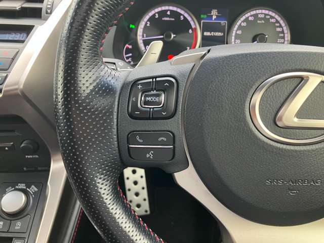 レクサス ＮＸ２００ｔ Ｆスポーツ H28年 (関東) 99
