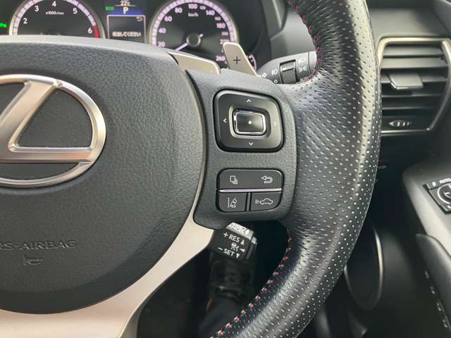 レクサス ＮＸ２００ｔ Ｆスポーツ H28年 (関東) 99
