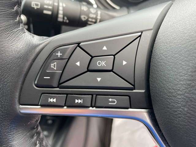 日産 エクストレイル ２．０ ２０ＸＩ ２列車 ４ＷＤ H30年 (関東) 99