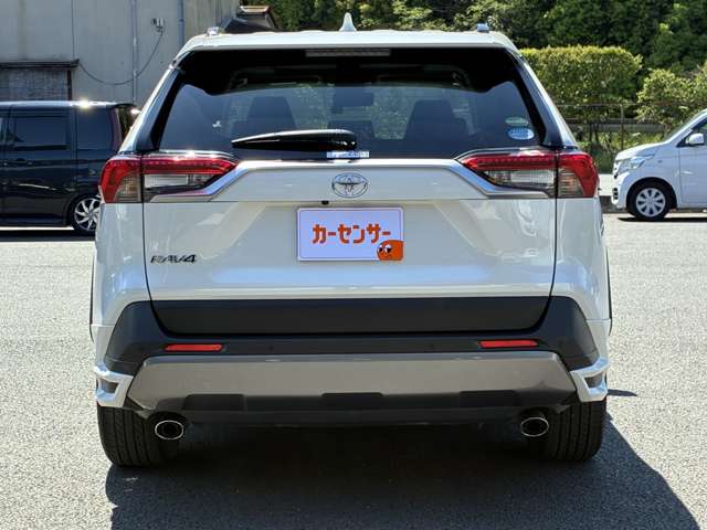トヨタ ＲＡＶ４ ２．０ Ｇ Ｚパッケージ ４ＷＤ R1年 (九州・沖縄) 99