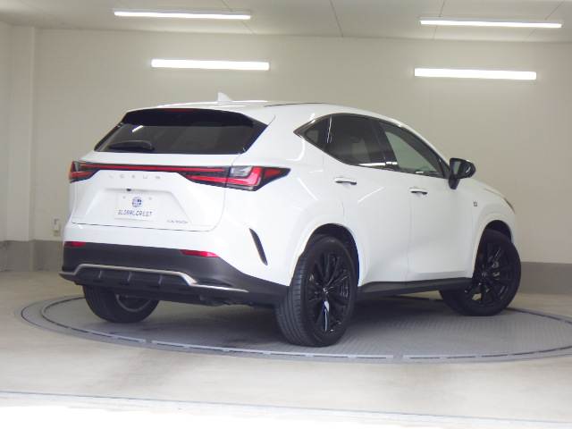レクサス ＮＸ３５０ｈ Ｆスポーツ R5年 (九州・沖縄) 99