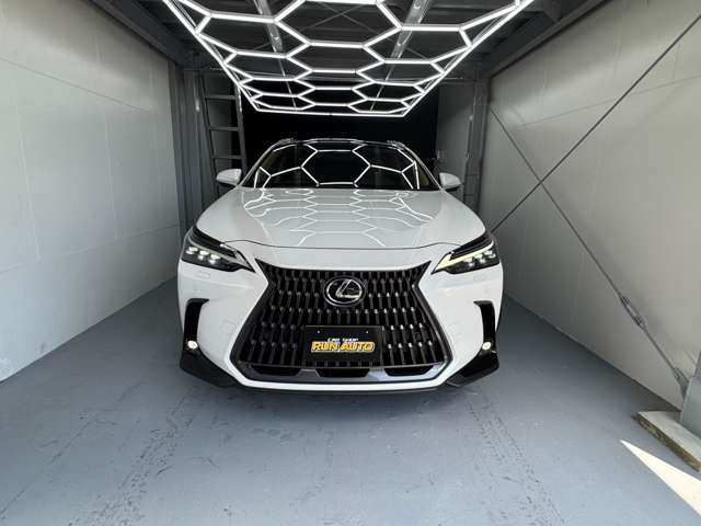 レクサス ＮＸ３５０ｈ バージョンＬ R6年 (九州・沖縄) 99