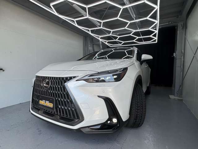 レクサス ＮＸ３５０ｈ バージョンＬ R6年 (九州・沖縄) 99