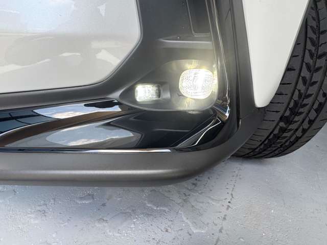 レクサス ＮＸ３５０ｈ バージョンＬ R6年 (九州・沖縄) 99