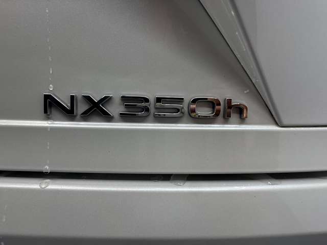 レクサス ＮＸ３５０ｈ バージョンＬ R6年 (九州・沖縄) 99