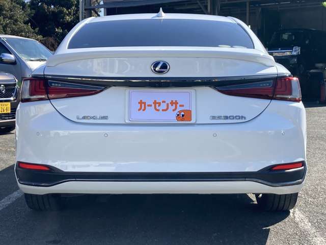 レクサス ＥＳ３００ｈ Ｆスポーツ H30年 (九州・沖縄) 99
