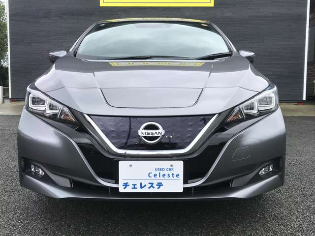 日産 リーフ Ｘ H29年 (九州・沖縄) 99
