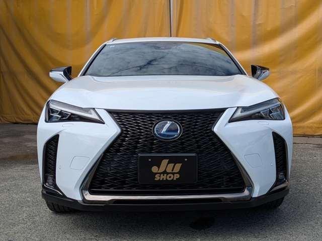 レクサス ＵＸ２５０ｈ Ｆスポーツ R1年 (九州・沖縄) 99