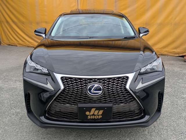 レクサス ＮＸ３００ｈ バージョンＬ H27年 (九州・沖縄) 99