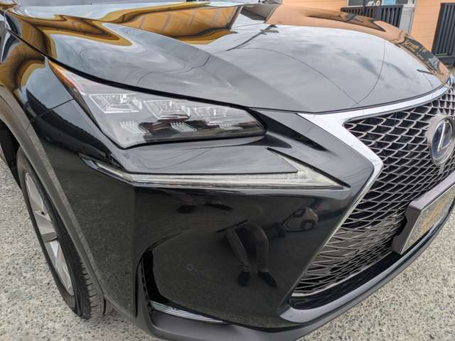 レクサス ＮＸ３００ｈ バージョンＬ H27年 (九州・沖縄) 99