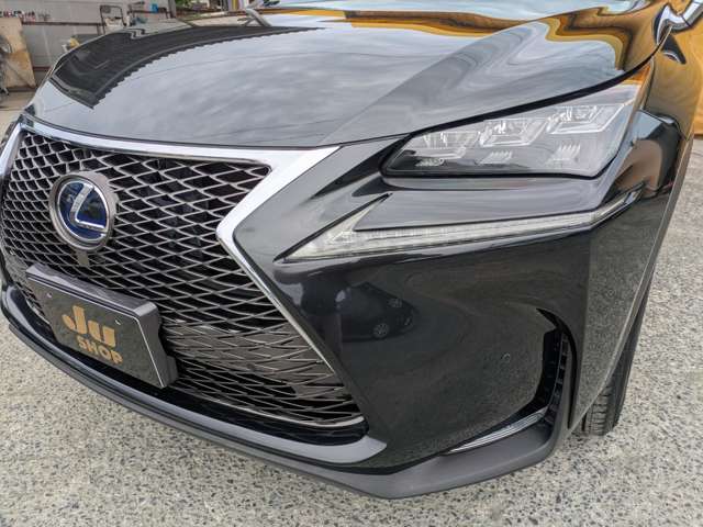 レクサス ＮＸ３００ｈ バージョンＬ H27年 (九州・沖縄) 99