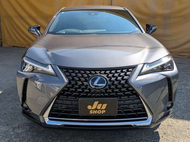 レクサス ＵＸ２５０ｈ バージョンＣ R1年 (九州・沖縄) 99