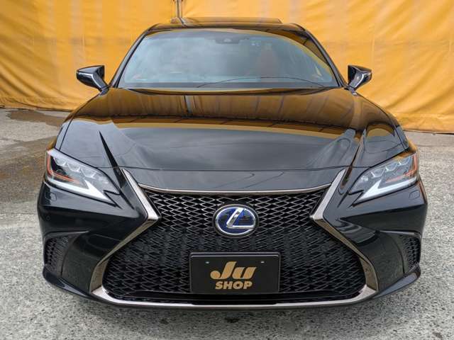 レクサス ＥＳ３００ｈ Ｆスポーツ R1年 (九州・沖縄) 99