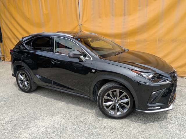 レクサス ＮＸ３００ Ｆスポーツ H29年 (九州・沖縄) 99