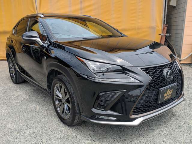 レクサス ＮＸ３００ Ｆスポーツ H29年 (九州・沖縄) 99
