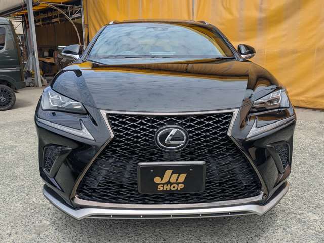 レクサス ＮＸ３００ Ｆスポーツ H29年 (九州・沖縄) 99