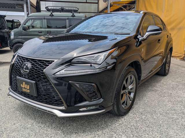レクサス ＮＸ３００ Ｆスポーツ H29年 (九州・沖縄) 99