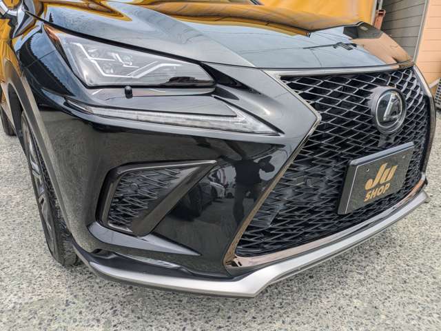 レクサス ＮＸ３００ Ｆスポーツ H29年 (九州・沖縄) 99