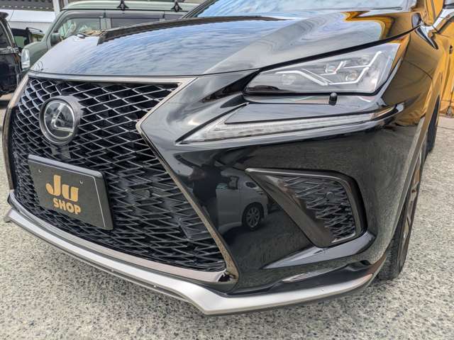 レクサス ＮＸ３００ Ｆスポーツ H29年 (九州・沖縄) 99