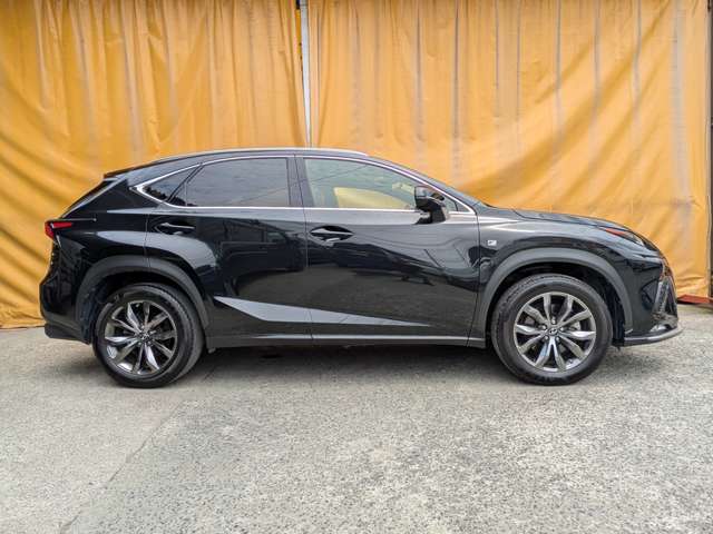 レクサス ＮＸ３００ Ｆスポーツ H29年 (九州・沖縄) 99
