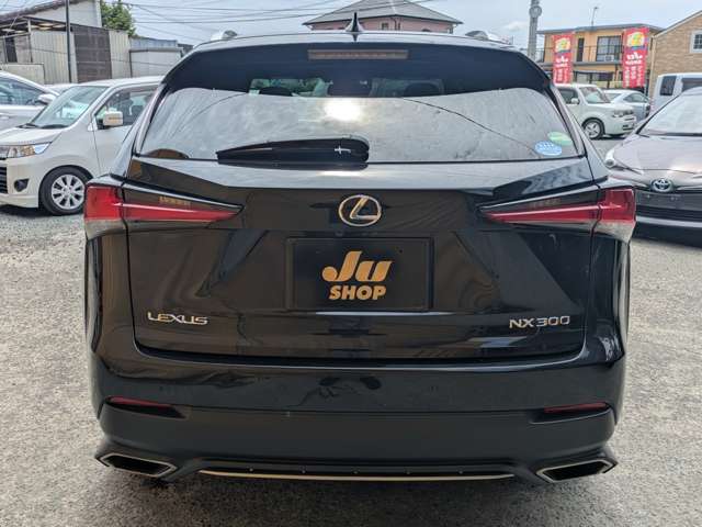 レクサス ＮＸ３００ Ｆスポーツ H29年 (九州・沖縄) 99