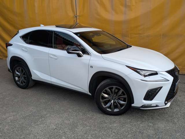 レクサス ＮＸ３００ Ｆスポーツ H30年 (九州・沖縄) 99