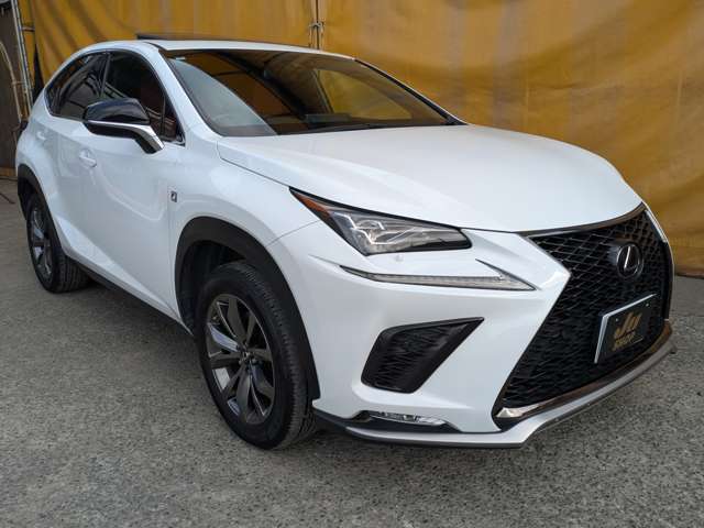 レクサス ＮＸ３００ Ｆスポーツ H30年 (九州・沖縄) 99
