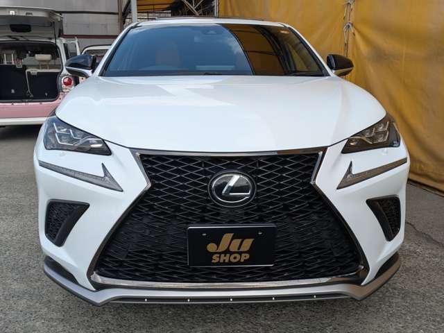 レクサス ＮＸ３００ Ｆスポーツ H30年 (九州・沖縄) 99