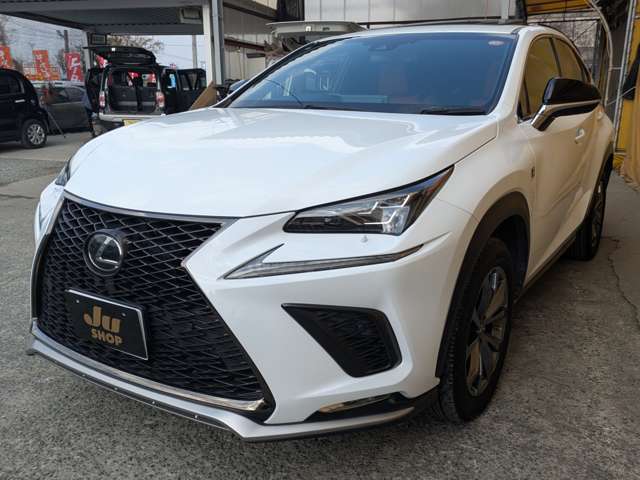 レクサス ＮＸ３００ Ｆスポーツ H30年 (九州・沖縄) 99