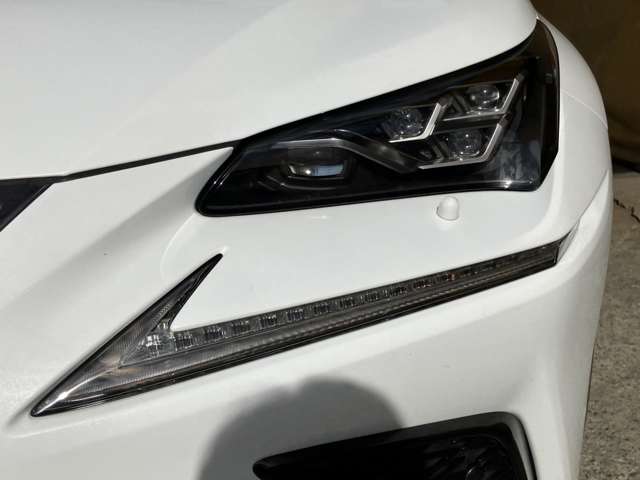 レクサス ＮＸ３００ Ｆスポーツ H30年 (九州・沖縄) 99
