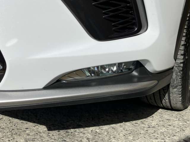 レクサス ＮＸ３００ Ｆスポーツ H30年 (九州・沖縄) 99