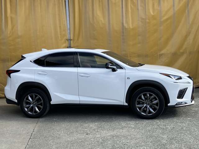 レクサス ＮＸ３００ Ｆスポーツ H30年 (九州・沖縄) 99