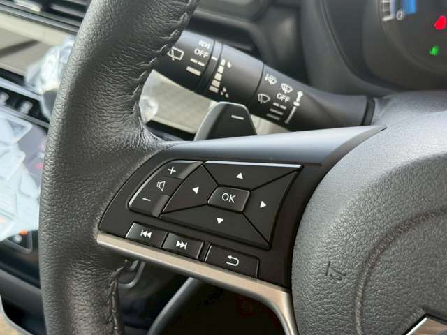 三菱 デリカ　ミニ ６６０ Ｔ プレミアム R7年 (九州・沖縄) 99